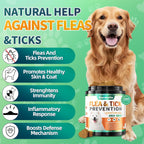Carmelie natural flea and tick dog chewables showing the ingredient panel including coconut oil, neem, and brewer's yeast