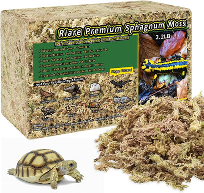 Clean breathable premium moss flakes ready for terrarium landscape decoration