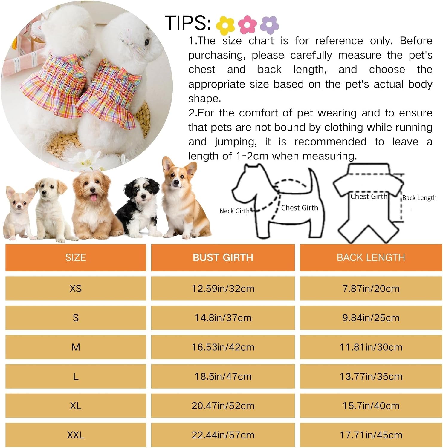 Small dog wearing breathable Taoqiao rainbow pet outfit outdoors