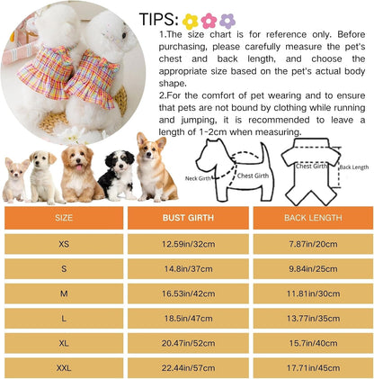 Small dog wearing breathable Taoqiao rainbow pet outfit outdoors