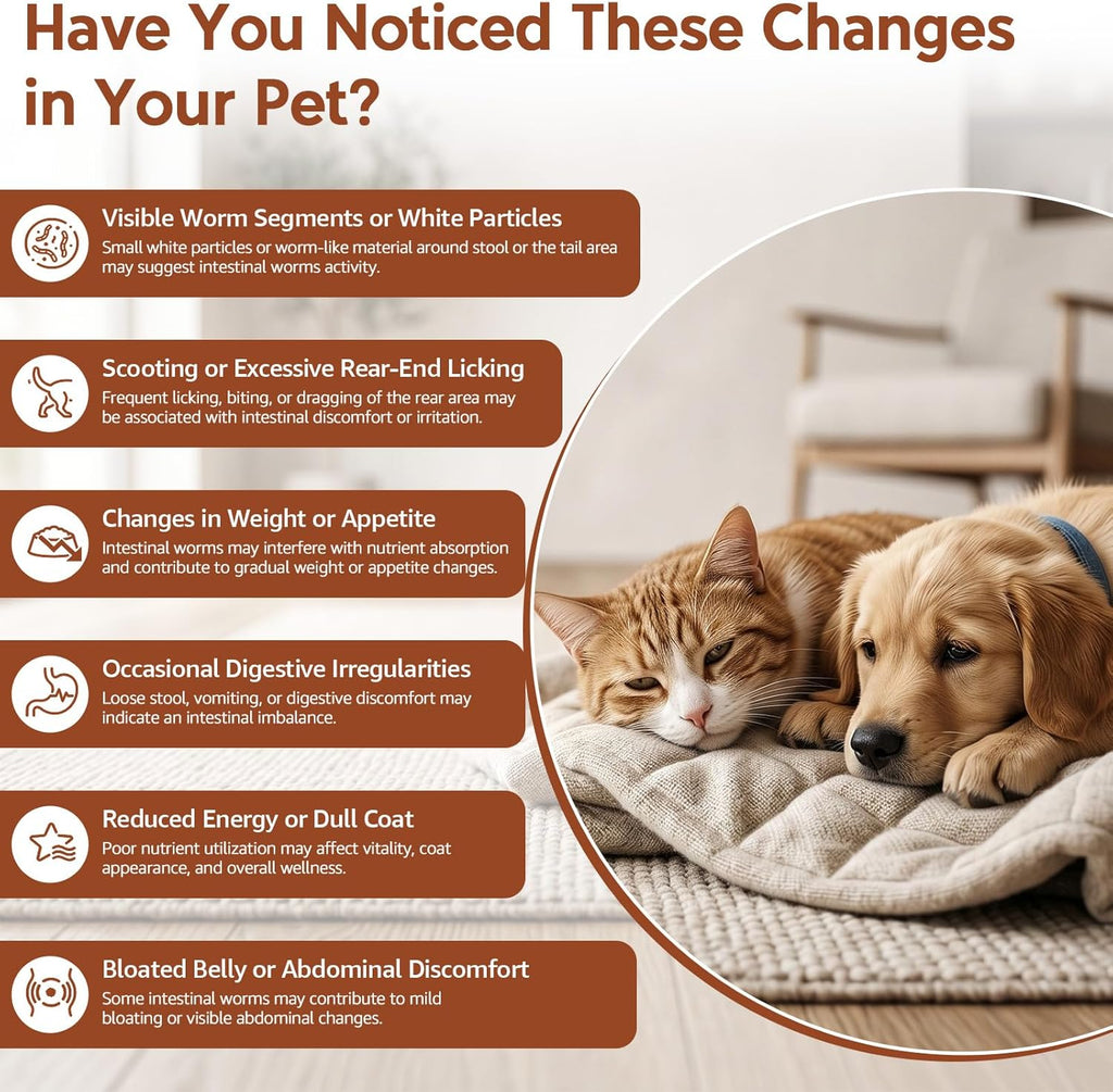 Chicken flavored liquid dewormer for small dogs and cats being measured with oral syringe.