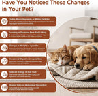 Chicken flavored liquid dewormer for small dogs and cats being measured with oral syringe.