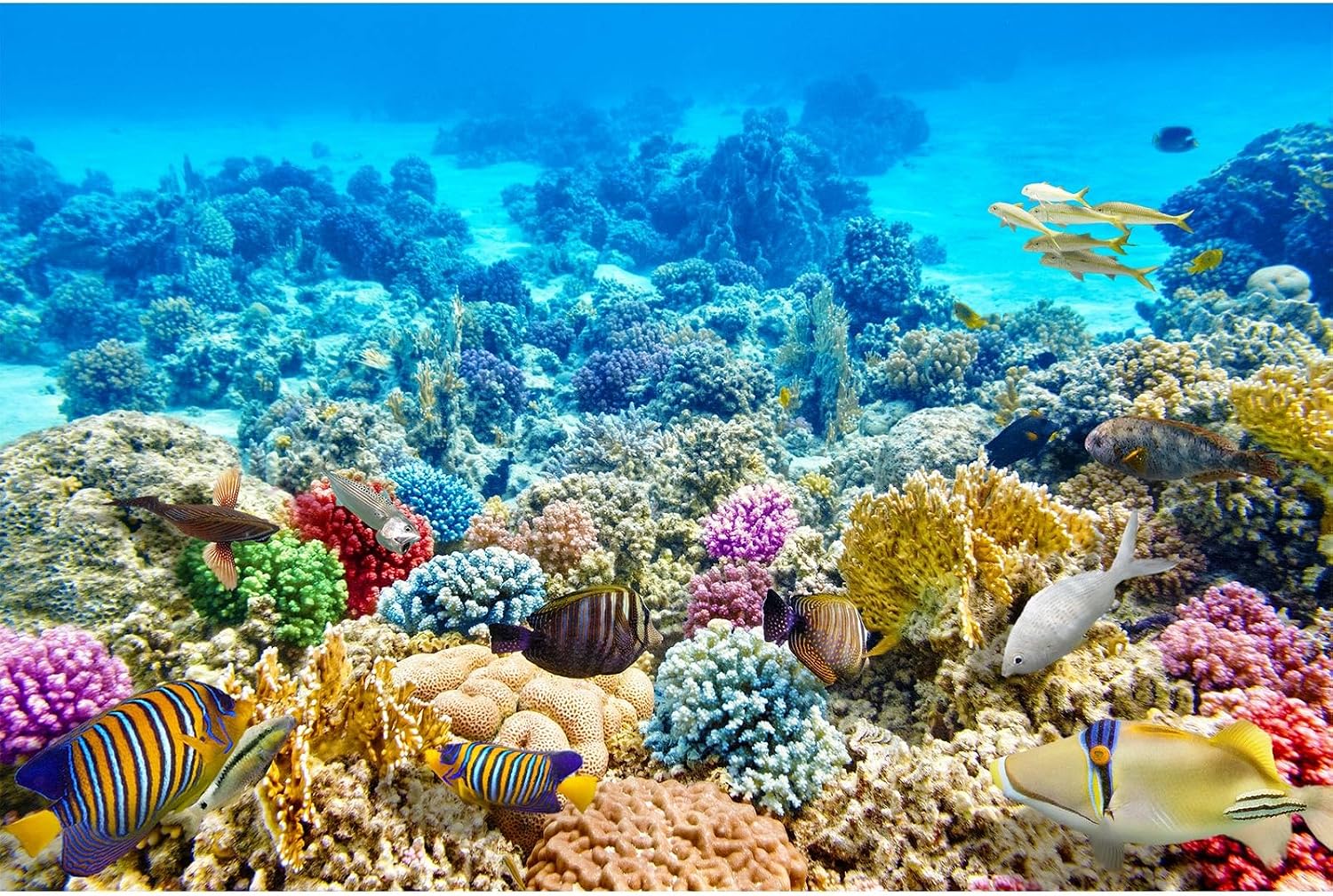 CaterRina ocean floor scenery poster for home aquarium decoration