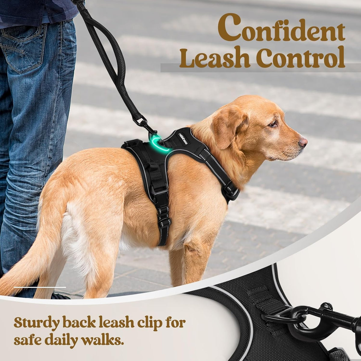 Detail view of easy control handle on pet harness