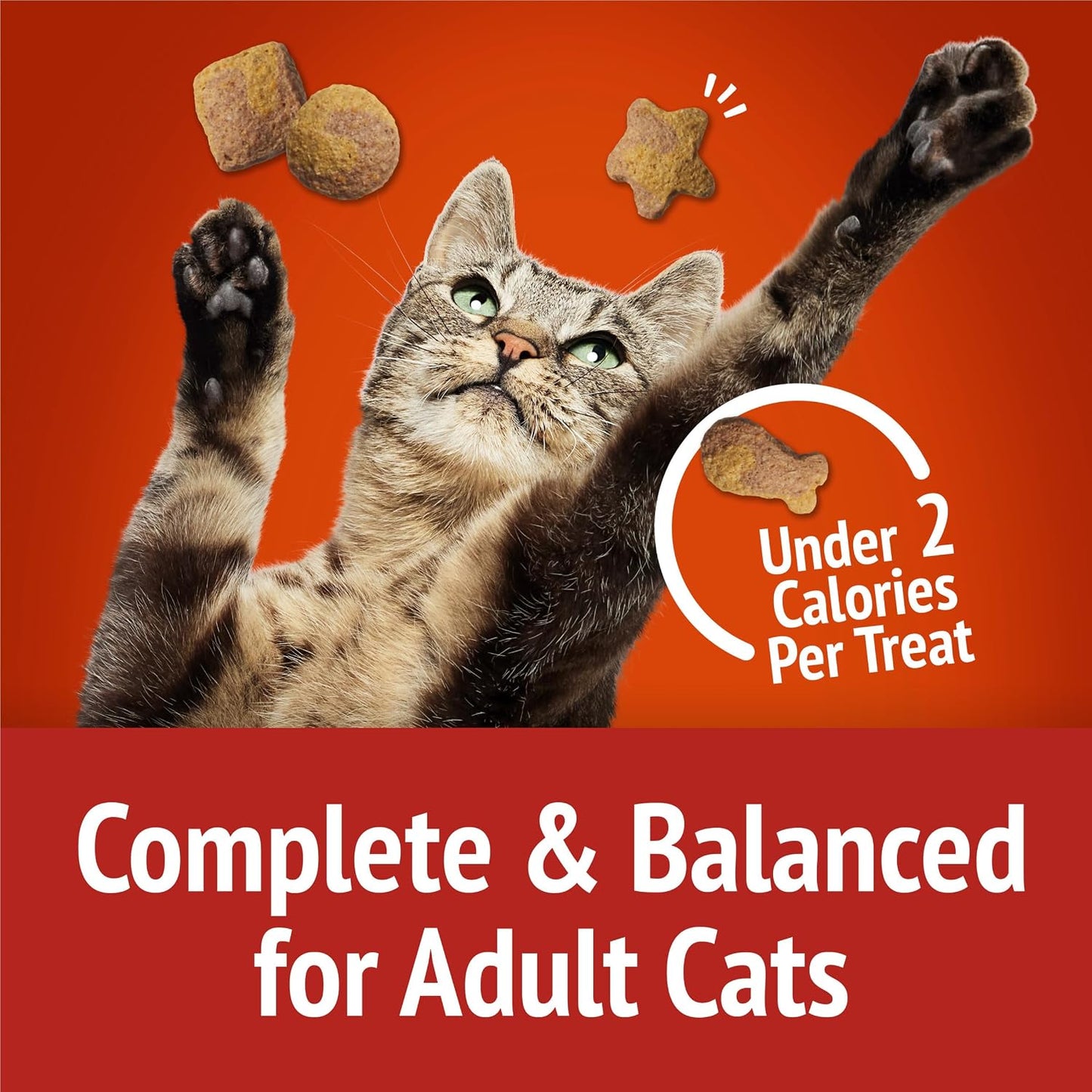 Nutritional information and ingredient list on the back of the Friskies canister.