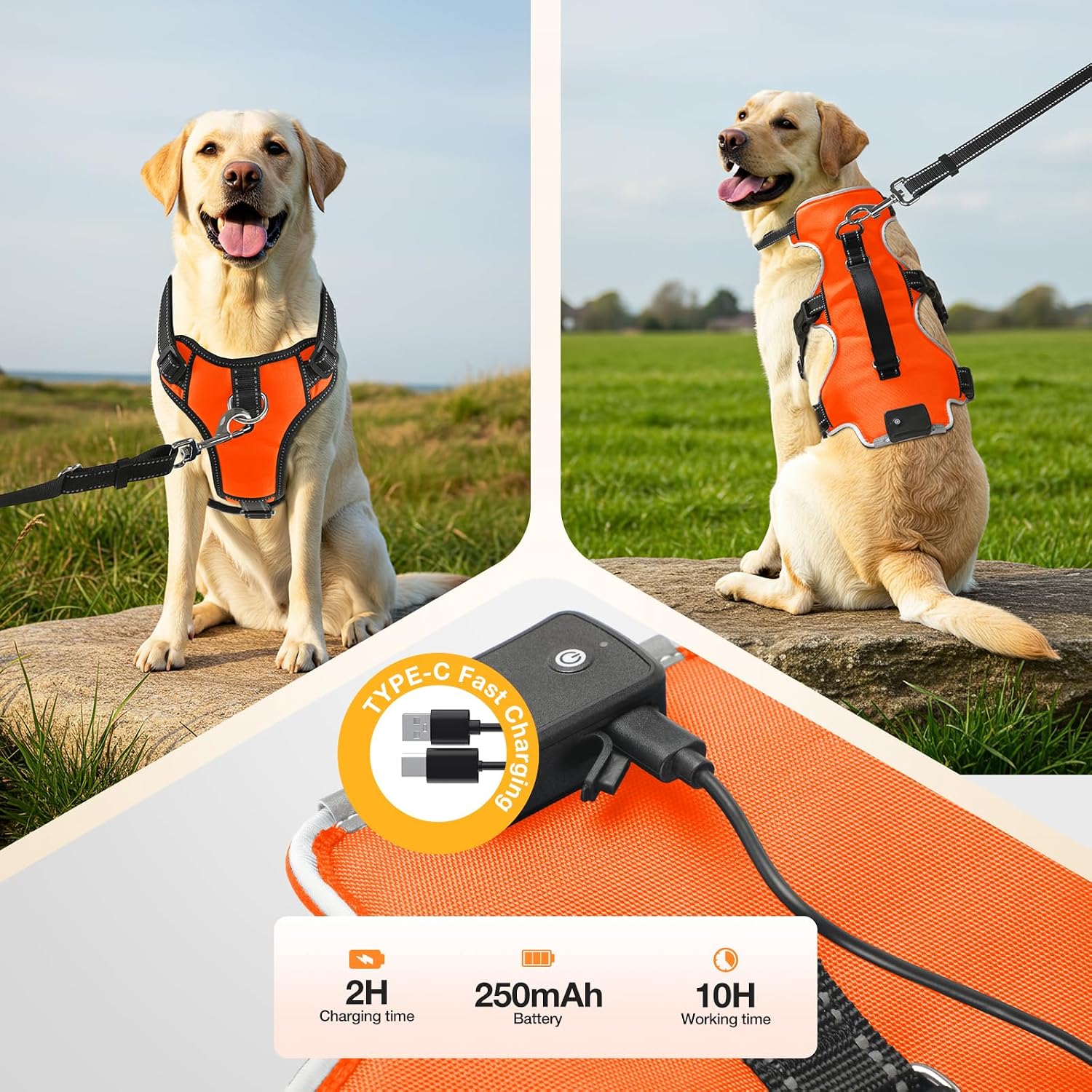 Fiveda LED harness detail with dual D-rings
