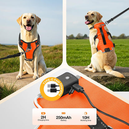 Fiveda LED harness detail with dual D-rings