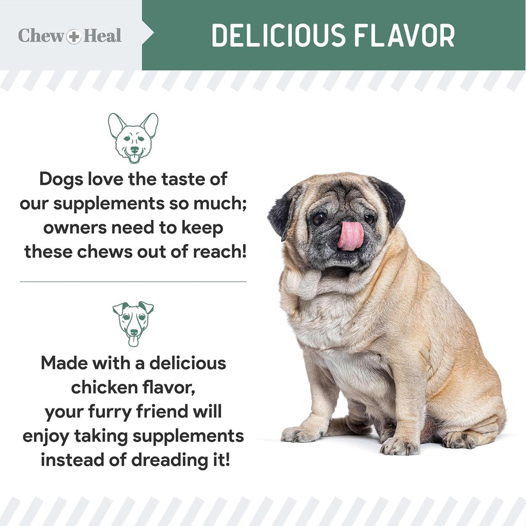 Nutritional benefits of glucosamine and MSM for dogs