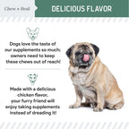 Nutritional benefits of glucosamine and MSM for dogs