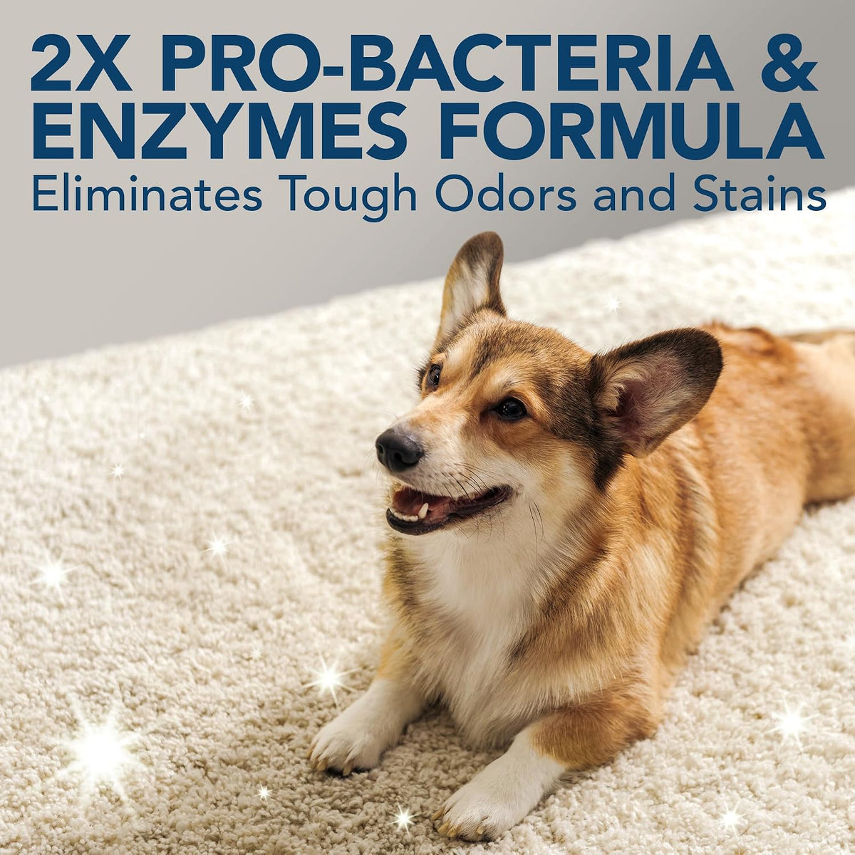 Simple Solution pet odor neutralizer container closeup of brand logo