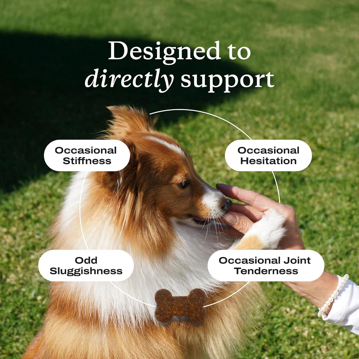 PetLab Co. Joint Care Chews soft canine supplement pieces outside the bottle