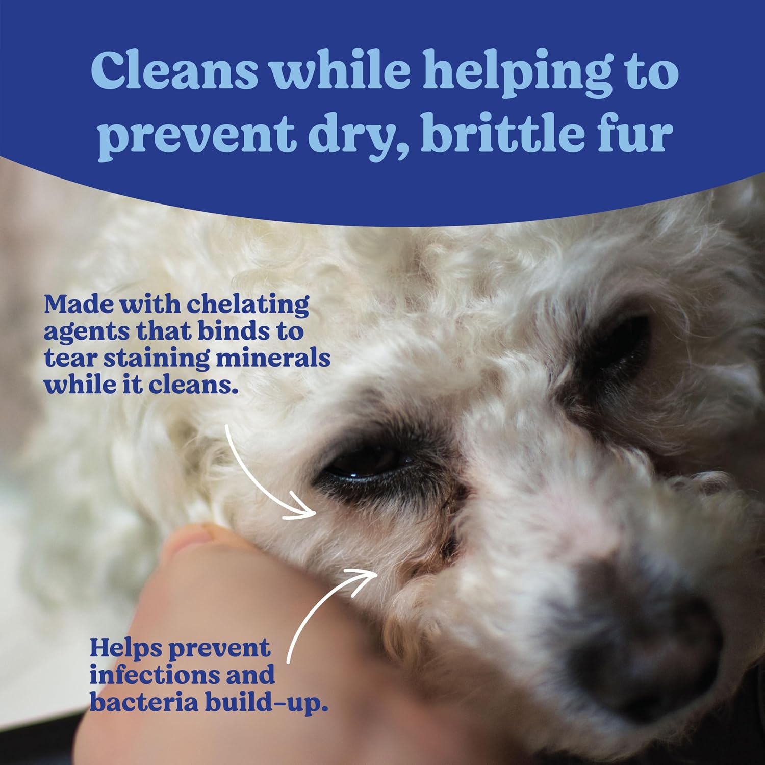 Angels Eyes pet eye cleaning pads for dogs and cats