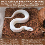Expanded loose coconut chips for reptiles