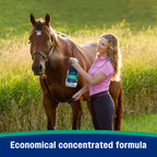 Equine care product displayed in natural lighting