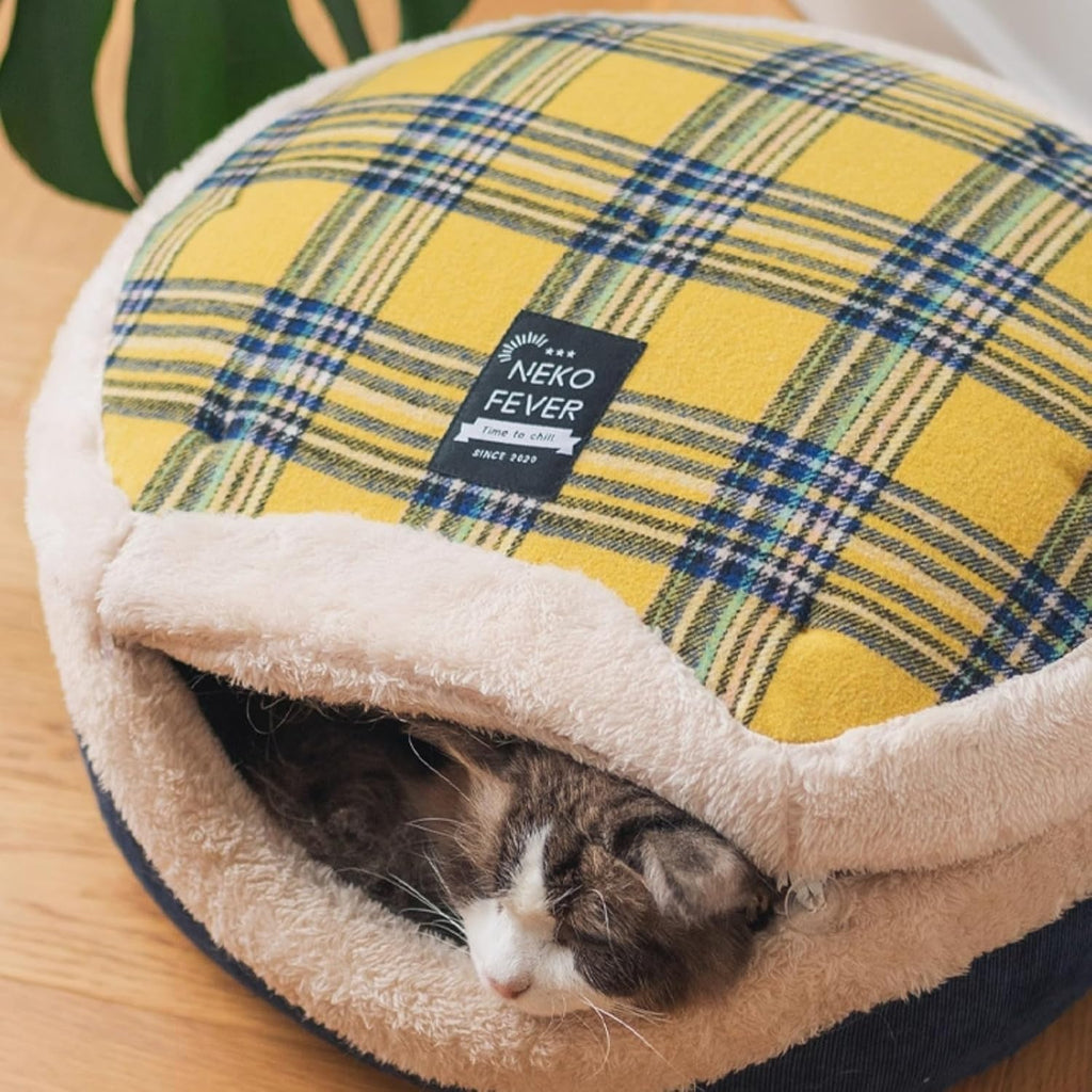 Detachable mat and lid components of cat bed