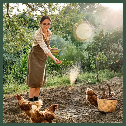 Fresh aromatic chicken coop refresher blend in a rustic nesting box setting
