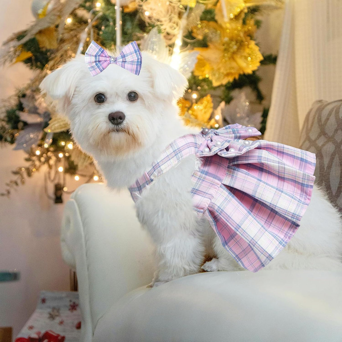 HhiMyOct small breed dog clothing displayed flat to show sizing and structure