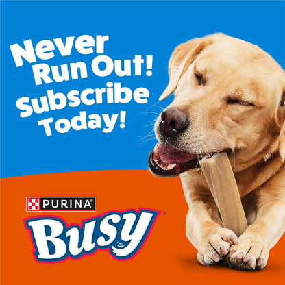 Purina Busy Bone Adult Dog Chew Bone Treats, Peanut Butter - 10 ct. Pouch - Image 11