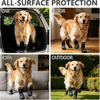 Senior dog enjoying stability with anti-slip traction control socks