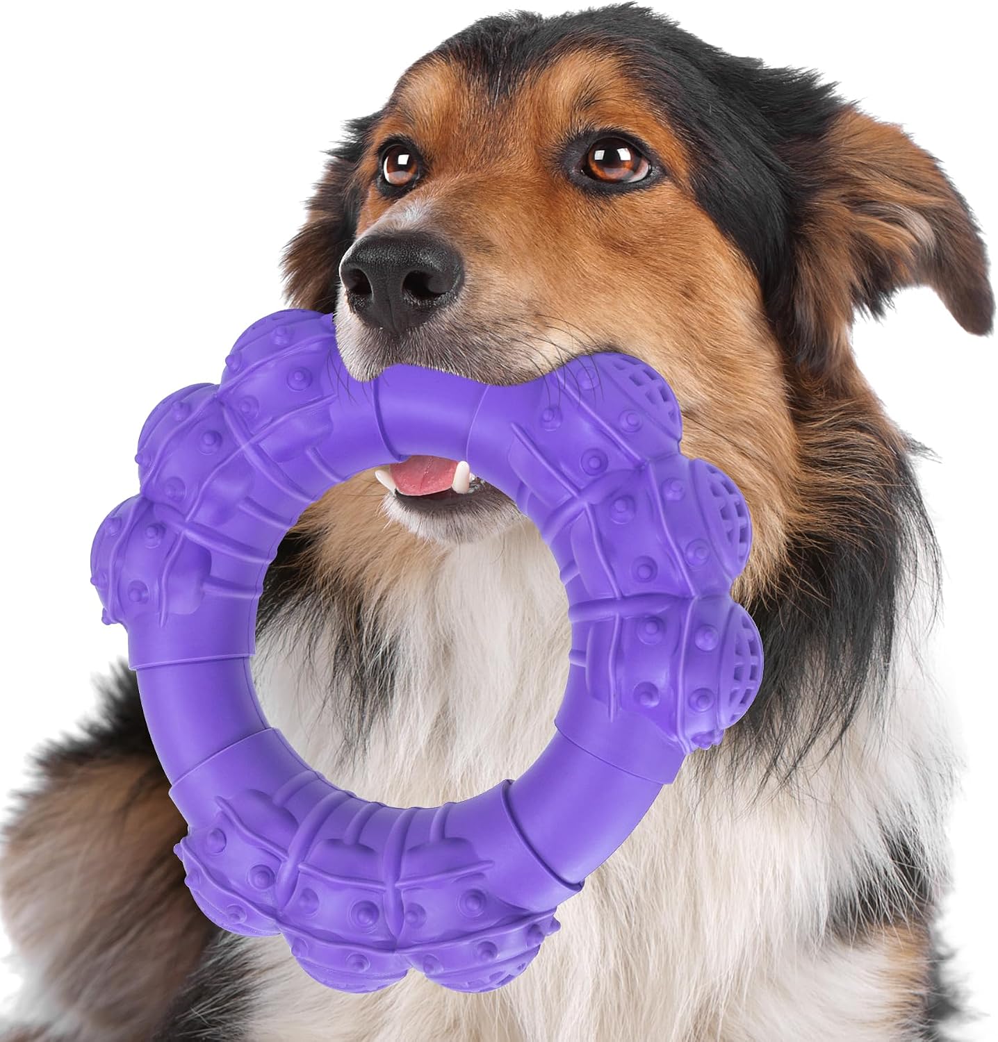 Indestructible Dog Chews - Super Duty Chew Toys for Aggressive Dogs, Puppy Teething Relief & Interactive Play - Image 12