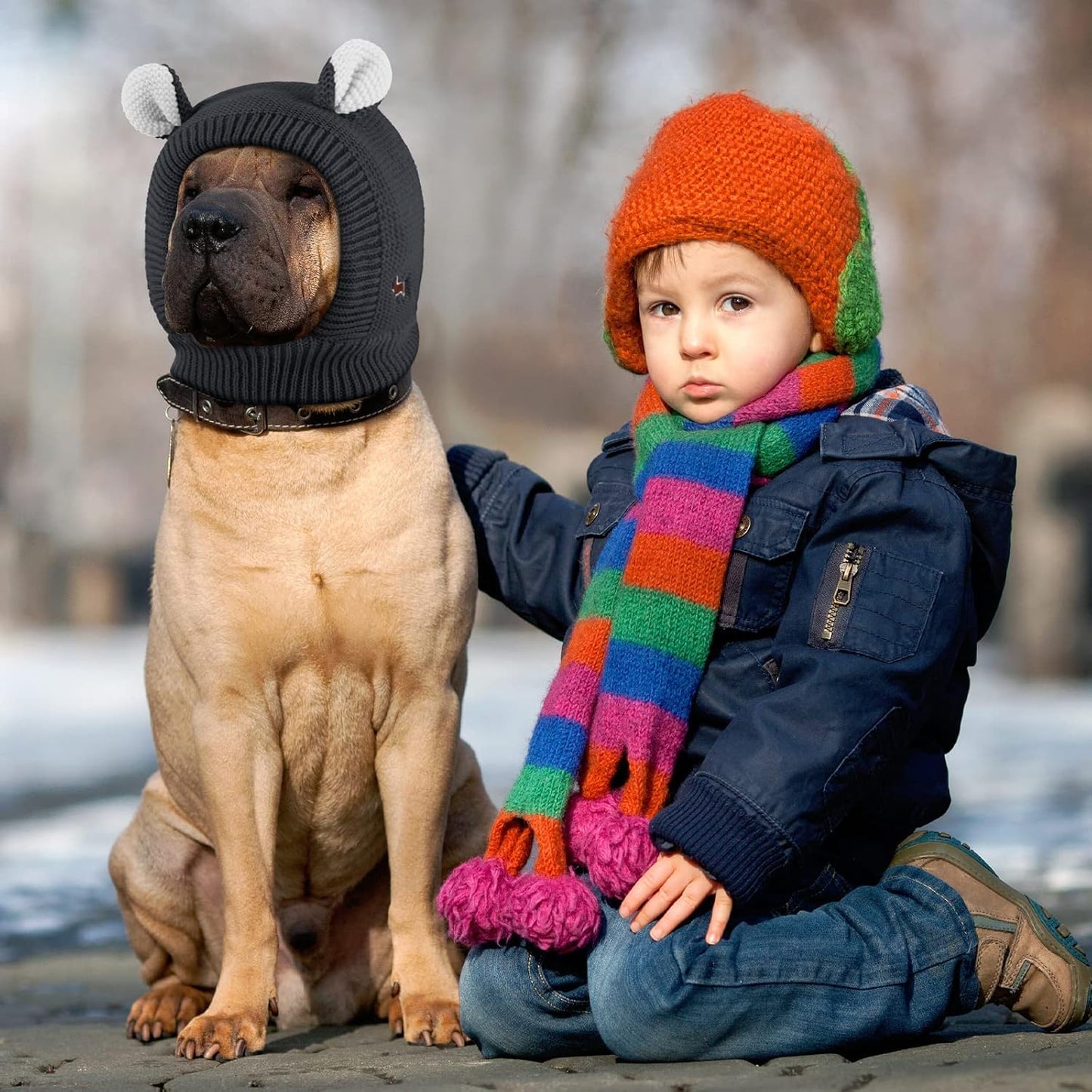 Frienda noise reduction hood for dogs during fireworks