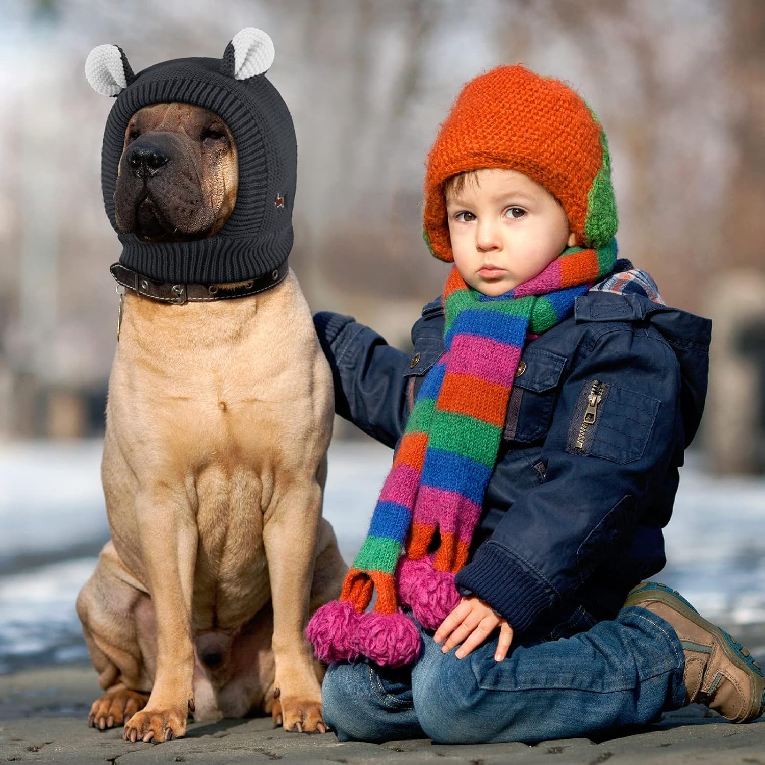 Frienda noise reduction hood for dogs during fireworks