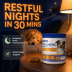 Premium chicken flavor canine calming treats for behavior management.