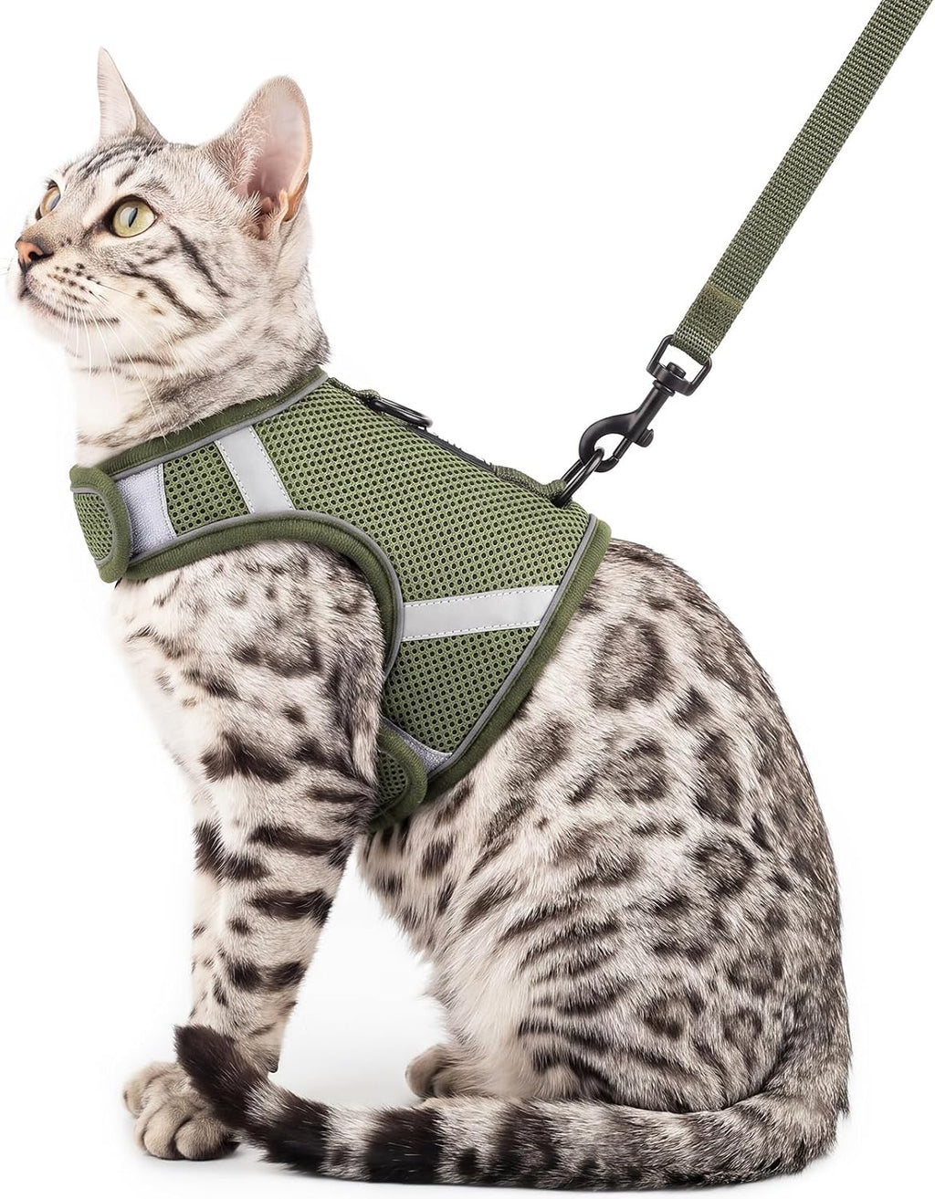 Cat Harness and Leash Set Escape Proof Kitten Harness No-Head-Pull Cat Vest Cat Leash for Walking Travel, Grey, X-Large - Image 10