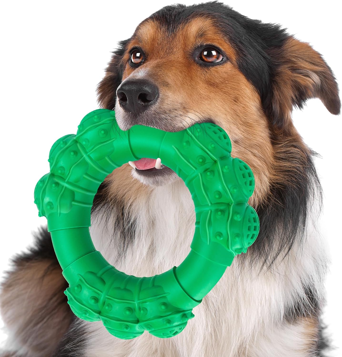 Indestructible Dog Chews - Super Duty Chew Toys for Aggressive Dogs, Puppy Teething Relief & Interactive Play - Image 9
