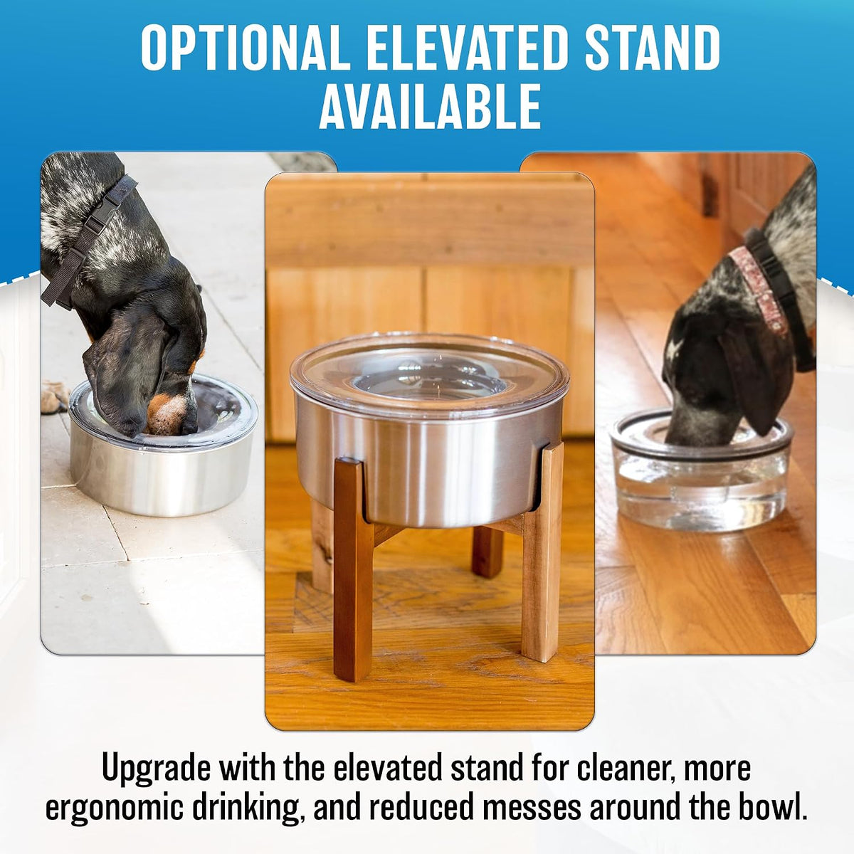 Slopper Stopper large breed dog water bowl with floating lid assembly