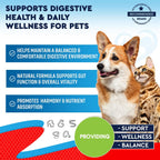 Beloved Pets Dewo herbal cleanse liquid supplement for pet gut health.