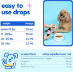 Taily skin and coat pet supplement with dropper close up