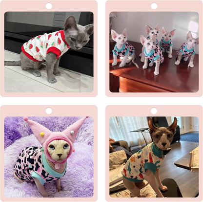 Back view of Sphynx cat in pink stretchy cat outfit