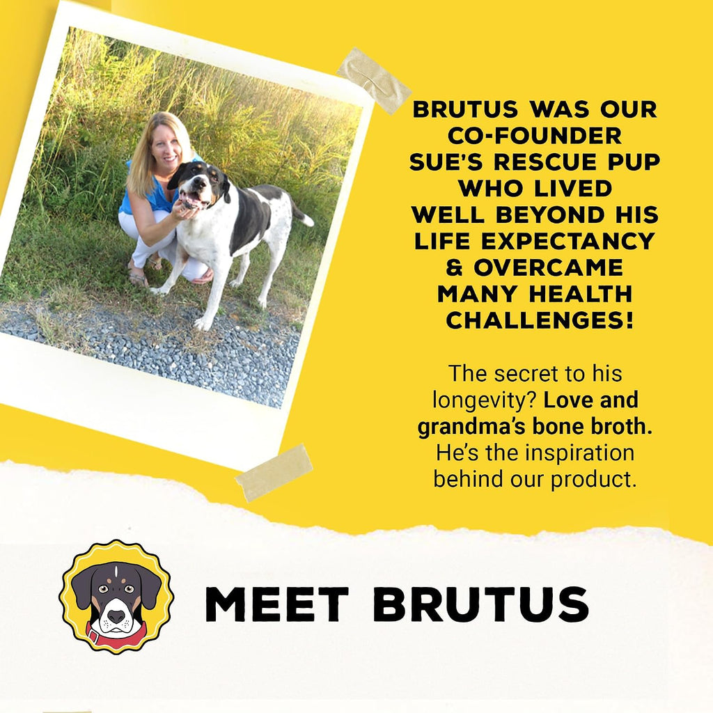Brutus adult dog bone broth powder pouch for mobility support
