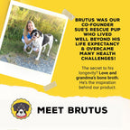 Brutus adult dog bone broth powder pouch for mobility support