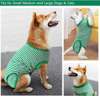 Karoku dog onesie after spay or neuter surgery abdominal wound cover