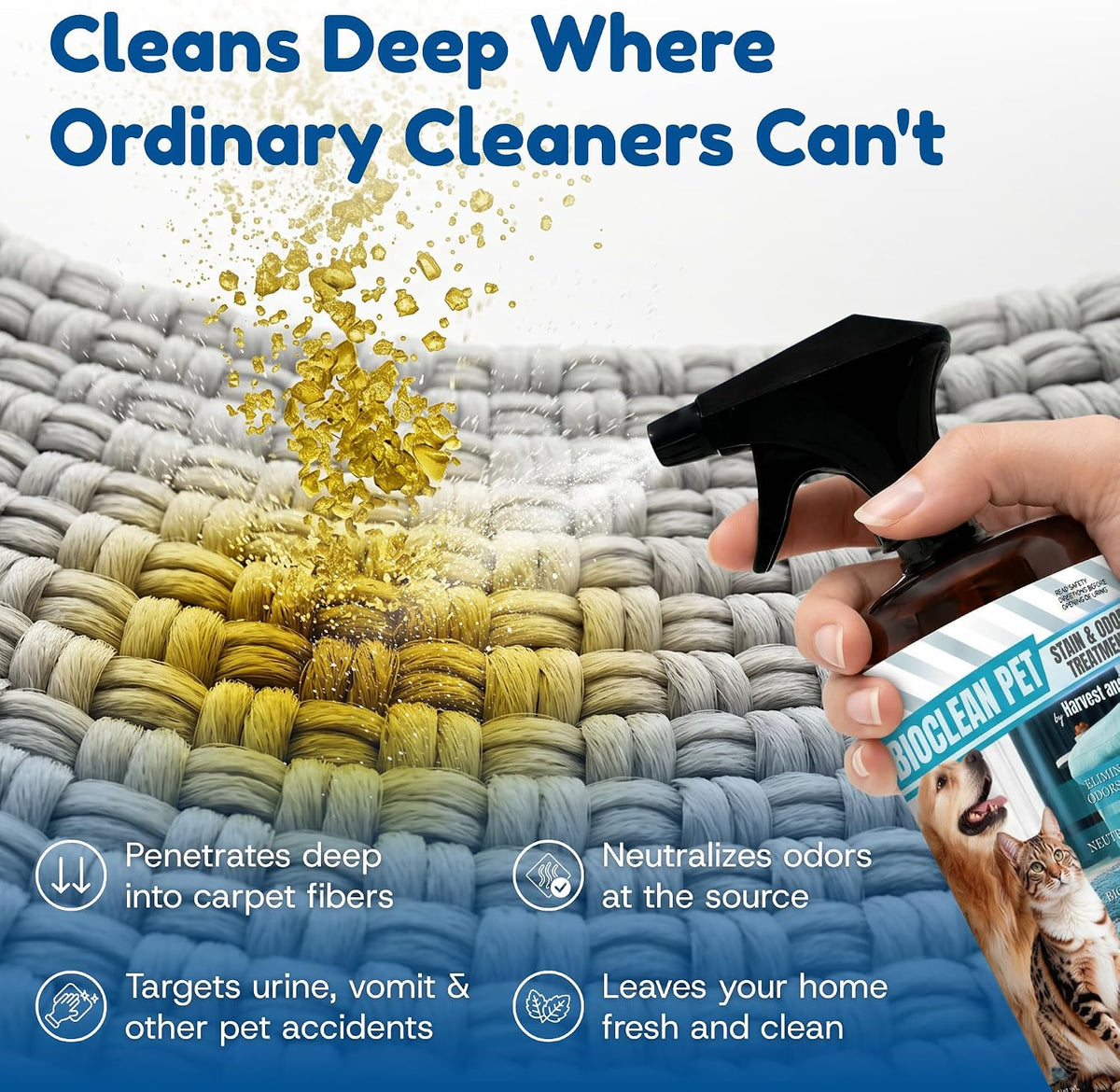 Enzymatic pet carpet deodorizer fresh mint scent application close up