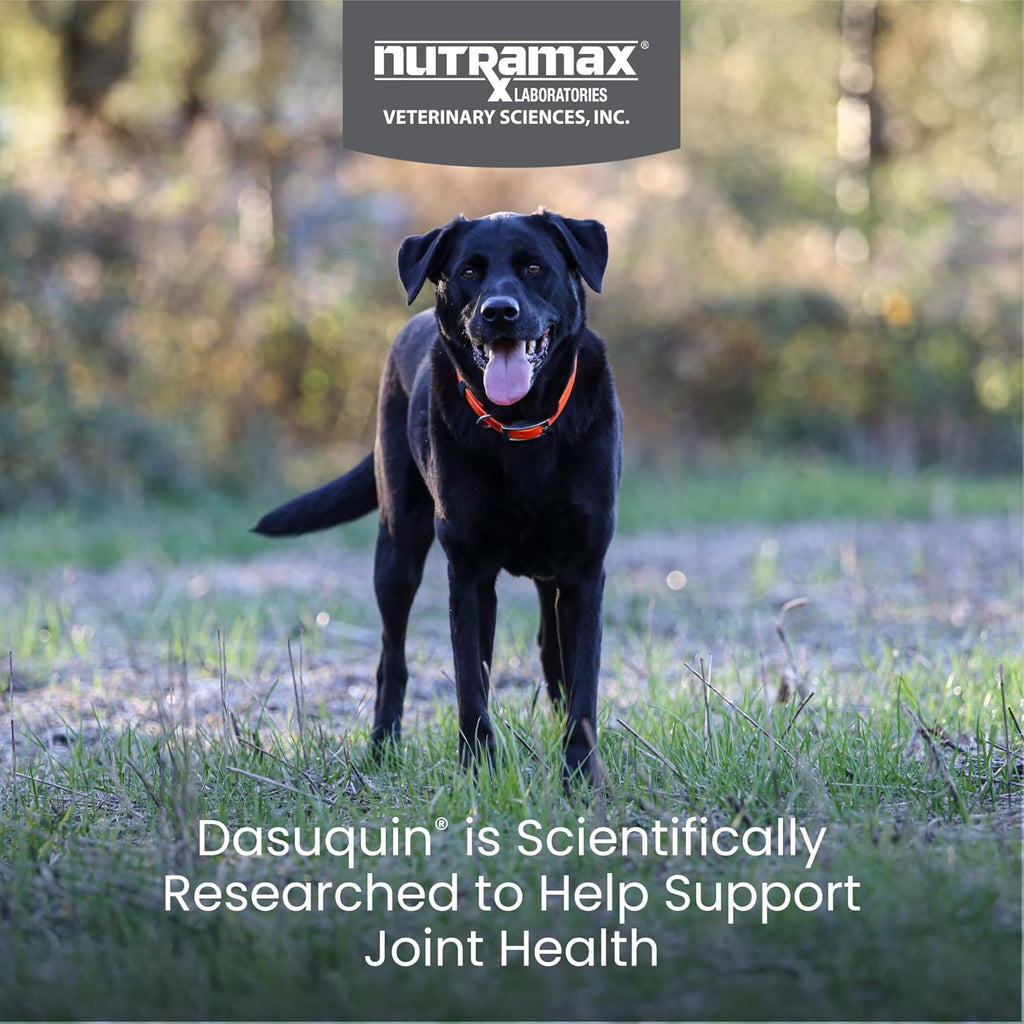 Nutramax Dasuquin soft chews container label details