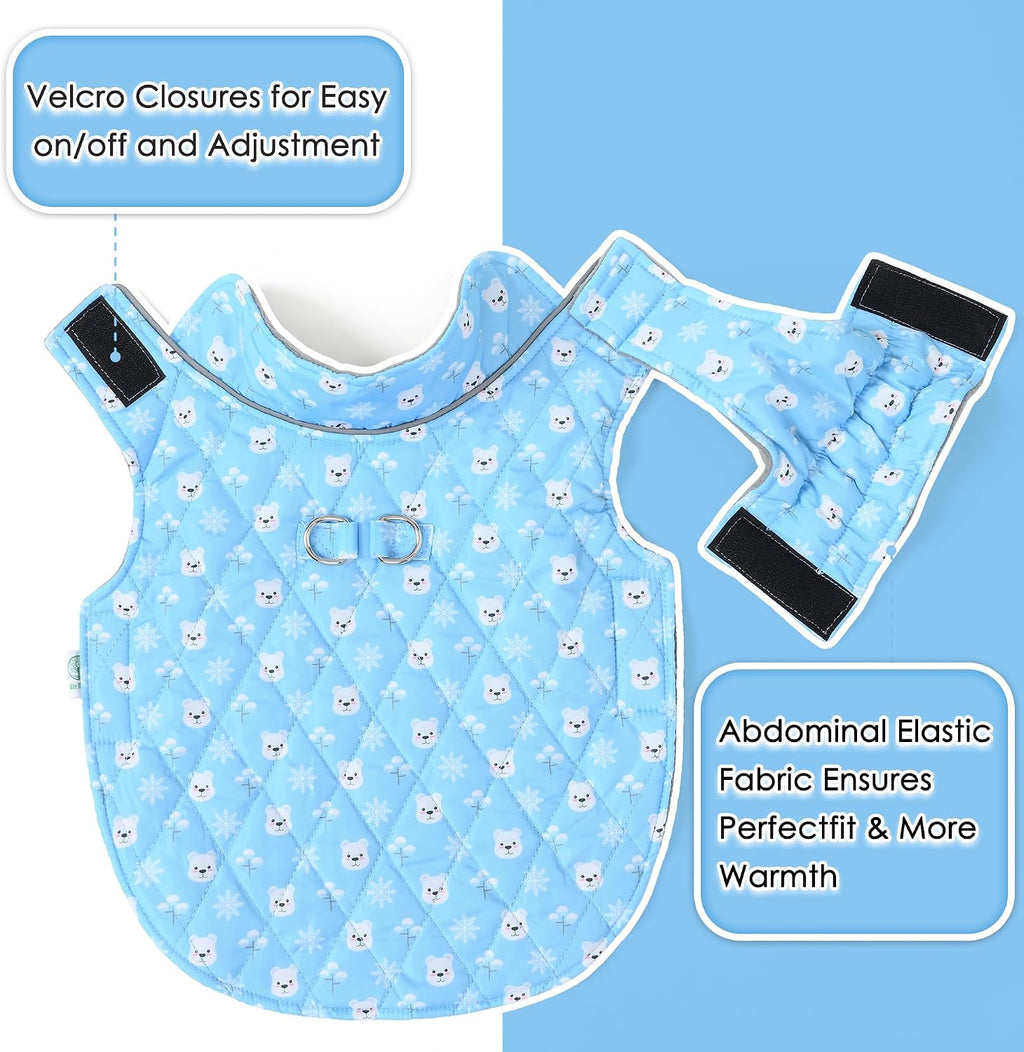 Adjustable velcro and elastic chest design on blue dog winter coat