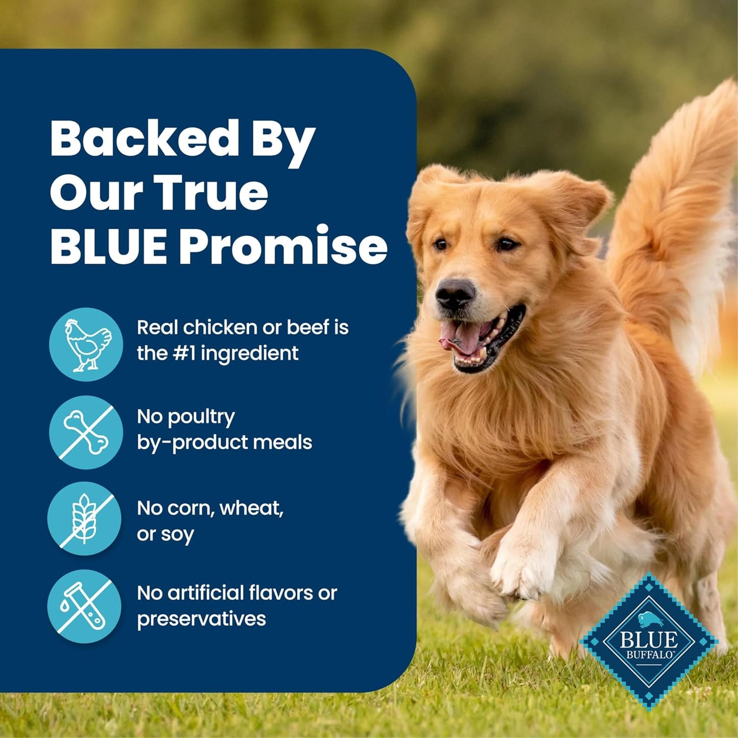 Smooth and savory patÃ© texture of Blue Buffalo adult wet dog food formula close up