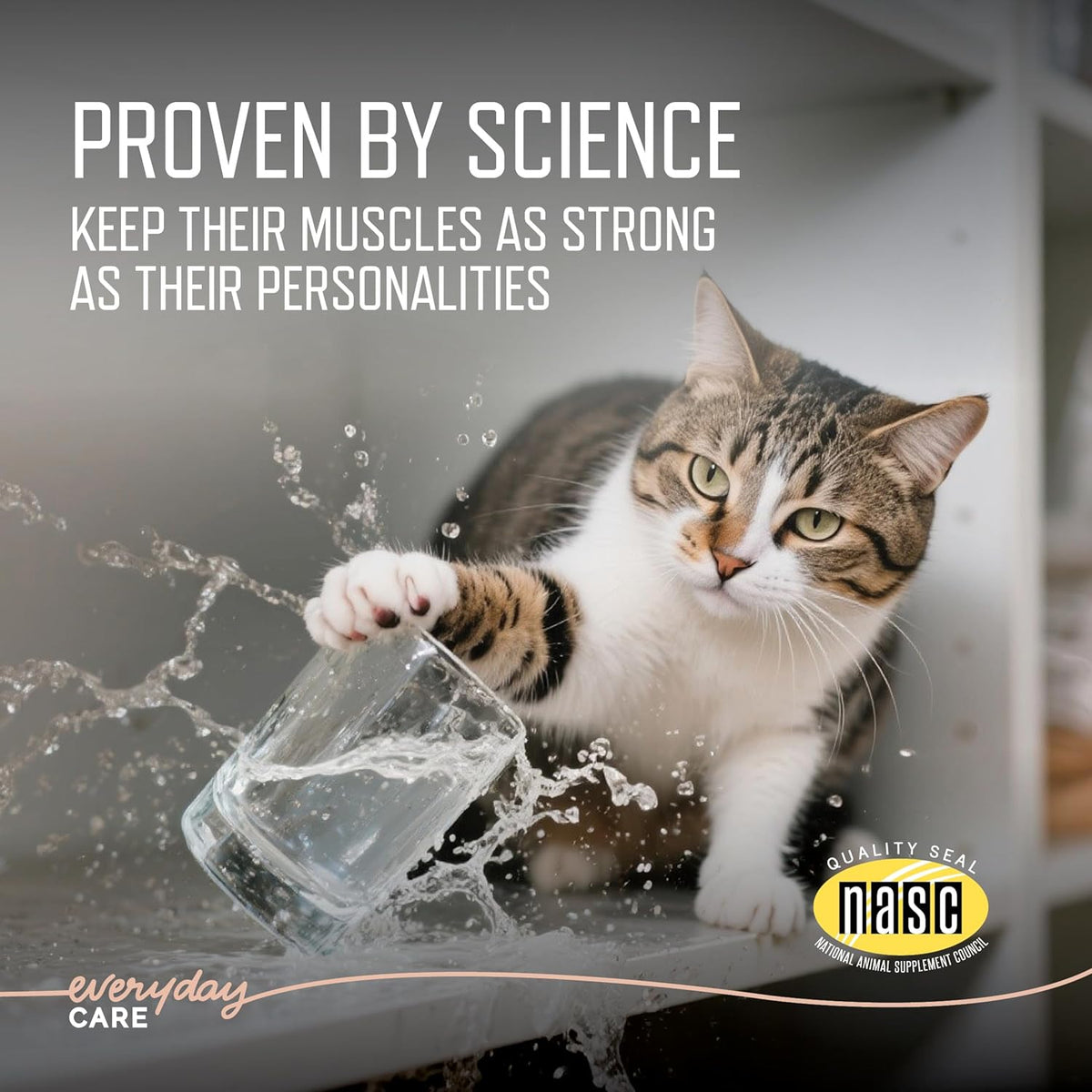 Virbac muscle health feline supplement nutritional information