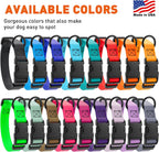 Adjustable heavy duty polyester webbing dog collar side angle view