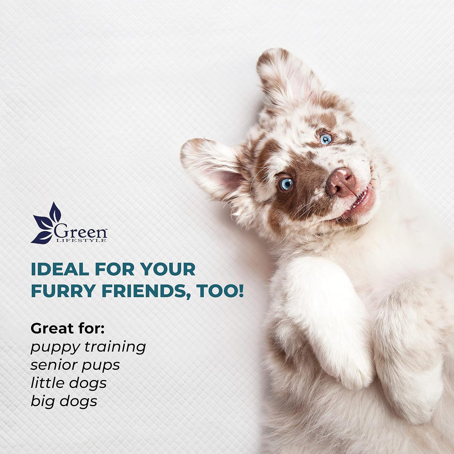 GREEN LIFESTYLE Underpads - Pet Training Pads for Dogs, Cats, Bunny, Chucks Pads for Adults, for use as Incontinence Bed Pads, Seniors Bed Pad (Pack of 50 - 36x36) - Image 2