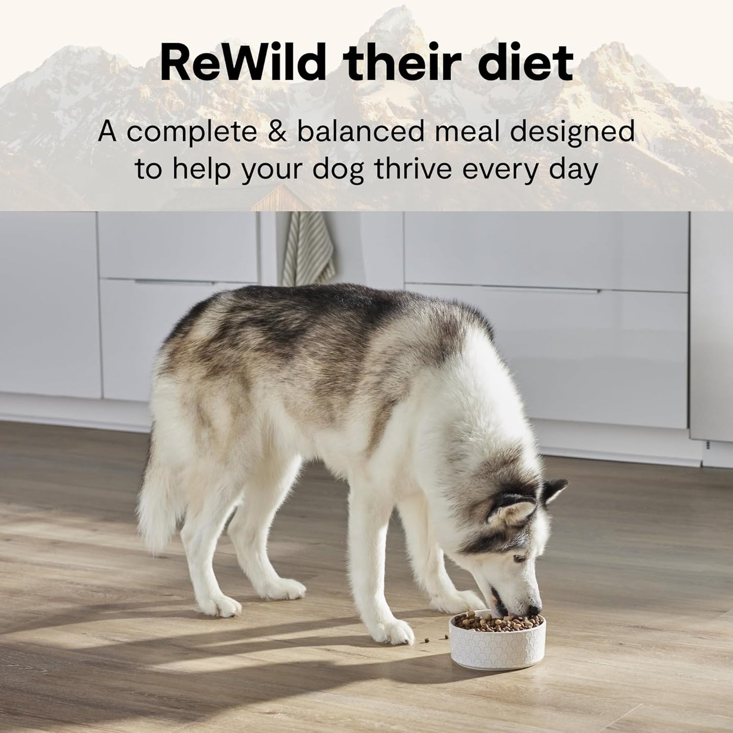 Open Farm RawMix Wild Ocean dog kibble with freeze dried raw chunks closely detailed