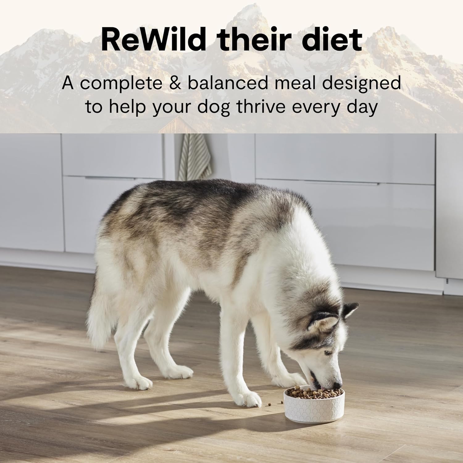 Open Farm RawMix Wild Ocean dog kibble with freeze dried raw chunks closely detailed