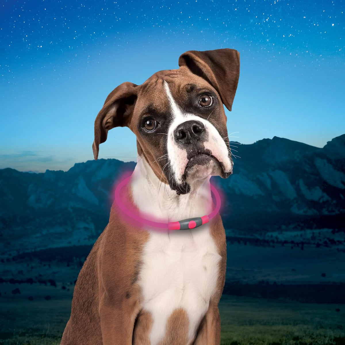 Premium Nite Ize polymer safety dog light showing glow and flash mode switch