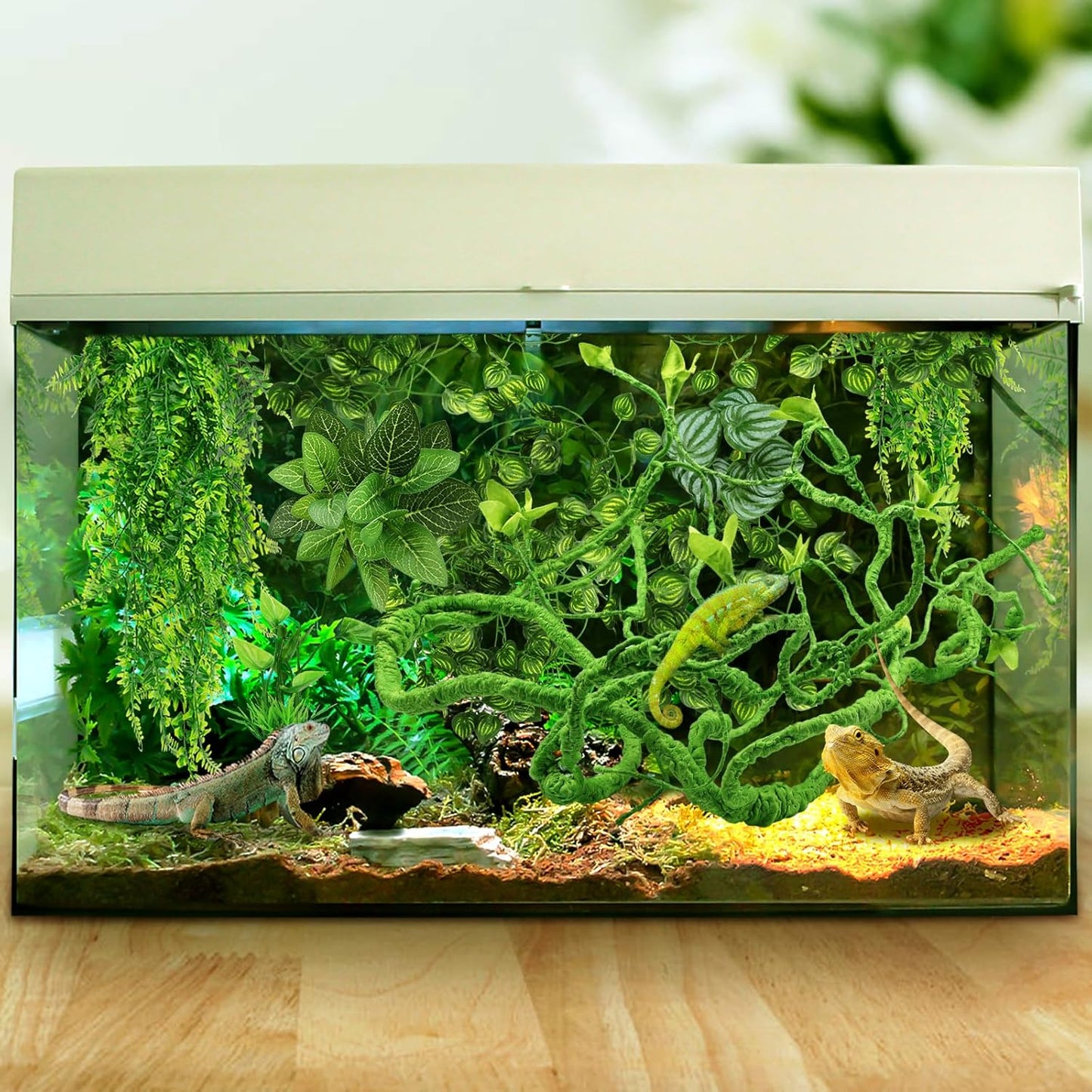 Quozuo reptile hide and decor bundle in packaging.