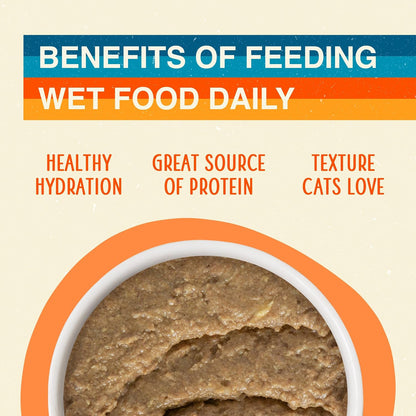 Weruva hydrating chicken and salmon pate cat food texture close up