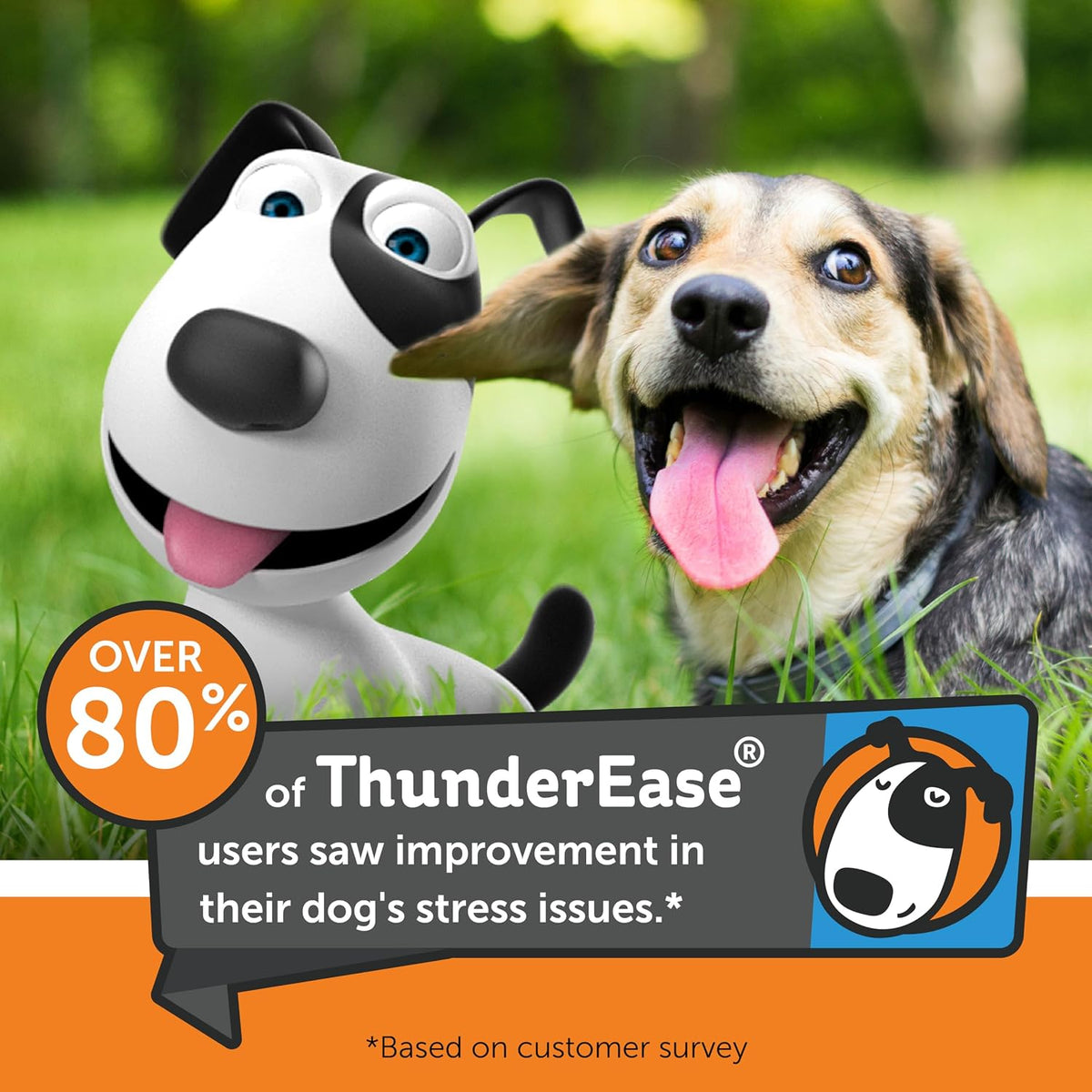 Adjustable dog anxiety collar showing the heat-activated pheromone strap design