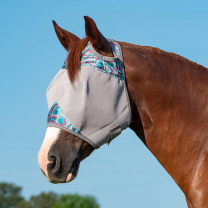 Packaging of authentic Cashel horse protection gear